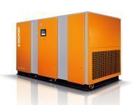 Компрессор винтовой Ekomak ЕКО 250 СD 8