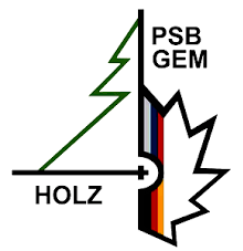 лого ОАО ПСБ ГЭМ ХОЛЬЦ