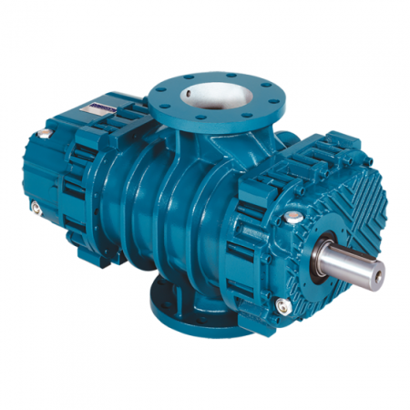 Воздуходувка роторная ROBUSCHI RBS 55